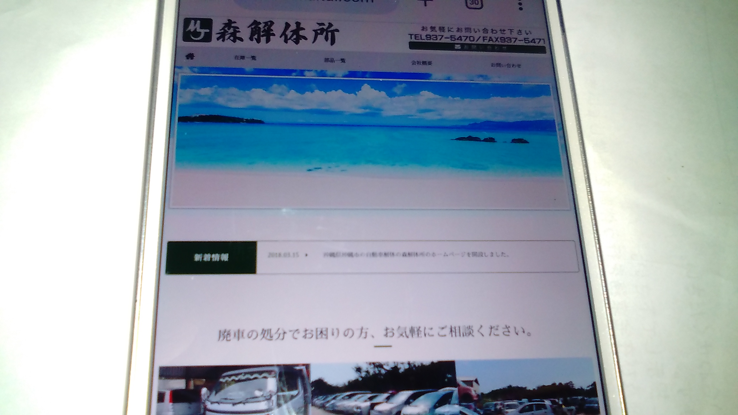 廃車買取 沖縄 森解体所