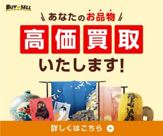 バイセル　カメラ
