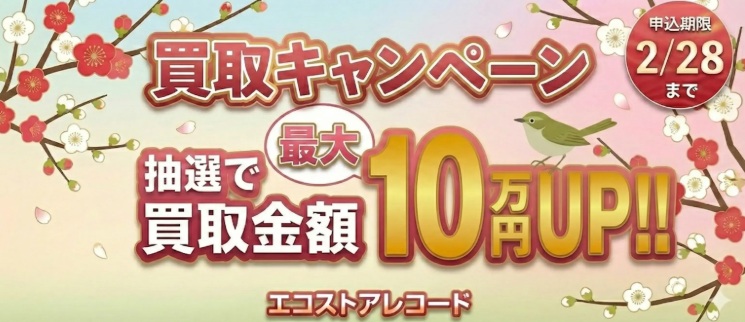 エコストアレコードキャンペーン