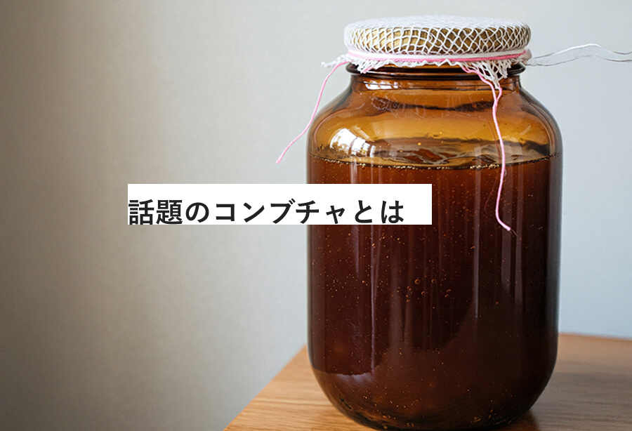 コンブチャとは