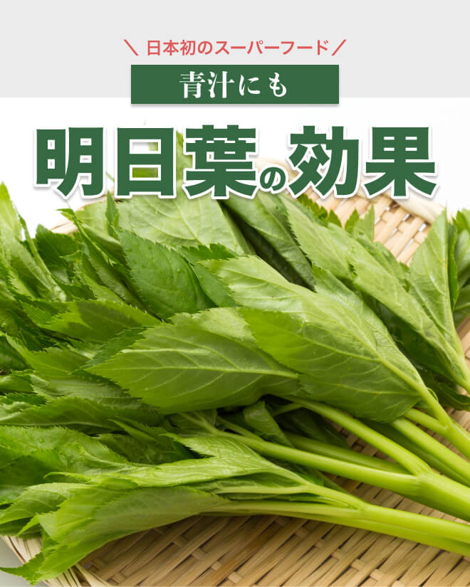 青汁にも使用される明日葉の効果について