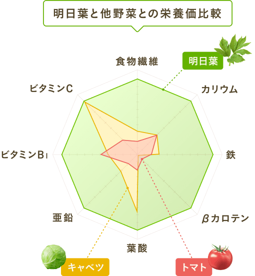 明日葉とほかの野菜との比較