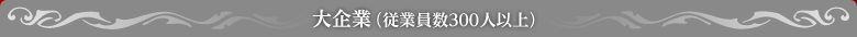 大企業（従業員数300人以上）