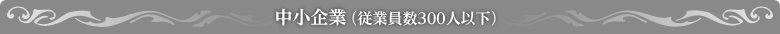 中小企業（従業員数300人以下）