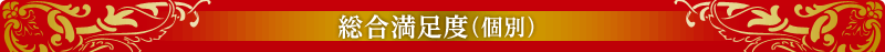 総合満足度（個別）