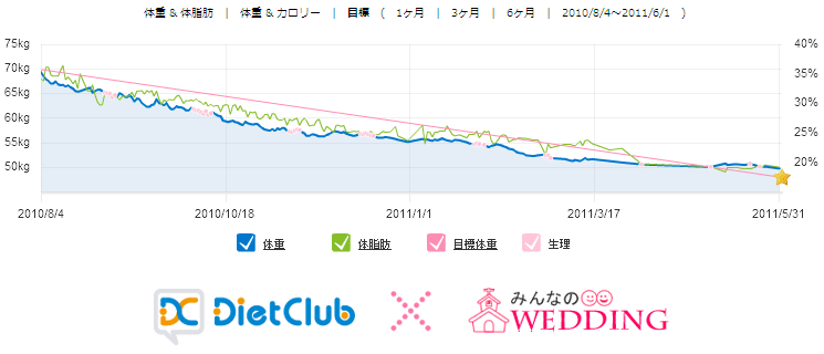 一目で体重の遷移がわかるグラフ